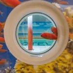 Adfc Zertifizierte Mit Schwimmbad *